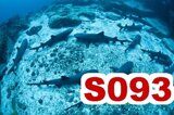 S093_450x300